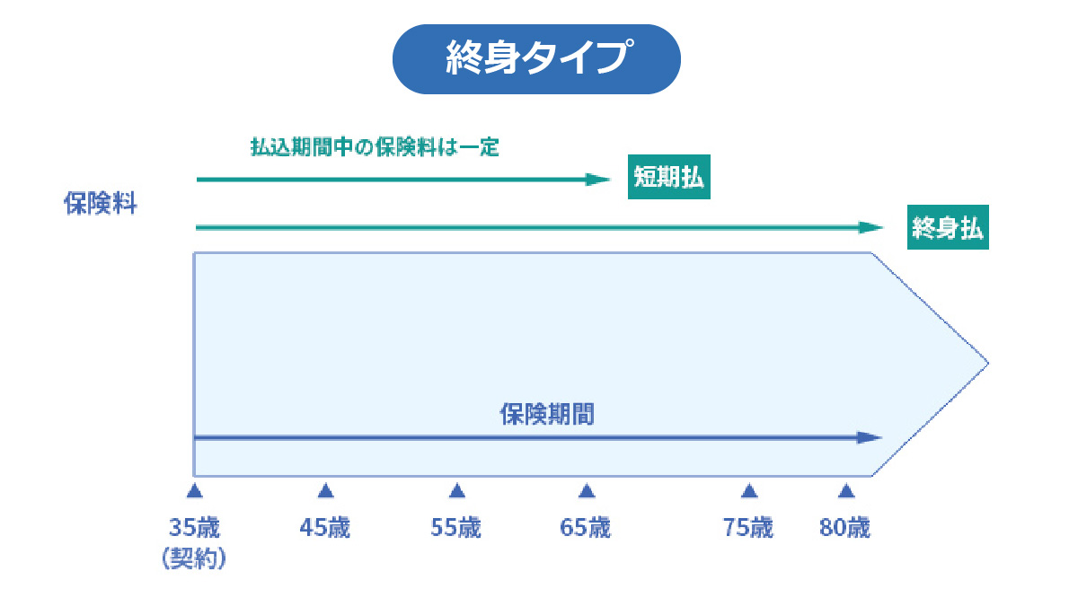 がん保険の終身タイプの保険料のグラフ