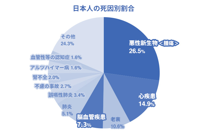 図表1　日本人の死因別割合