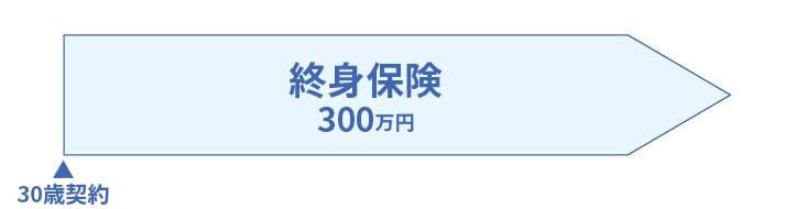 終身保険の図
