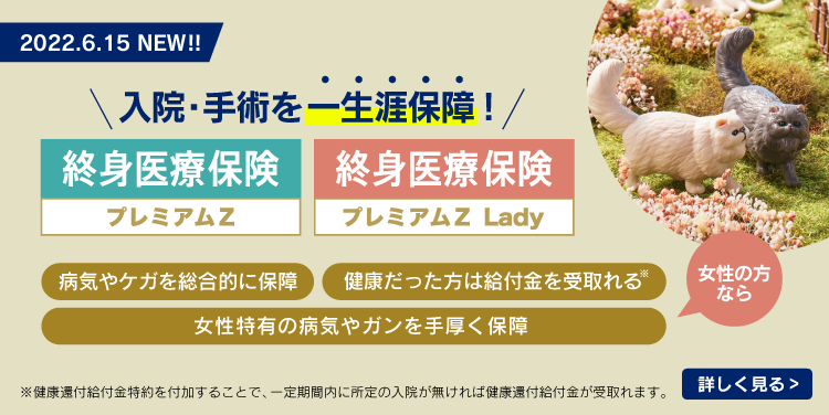 公式 チューリッヒ生命保険株式会社 医療保険 ガン保険はネットで申込み