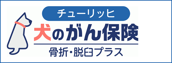 公式 チューリッヒ生命保険株式会社 医療保険 ガン保険はネットで申込み