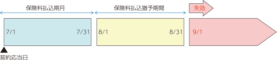 保険料払込スケジュール