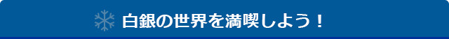 白銀の世界を満喫しよう!
