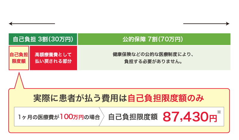 1ヶ月の医療費100万円とすると…