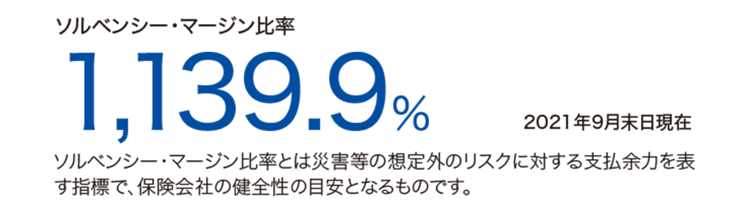 保険財務格付けAA 安定の財務基盤