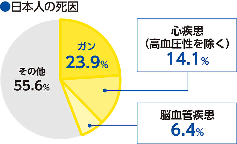 ●日本人の死因