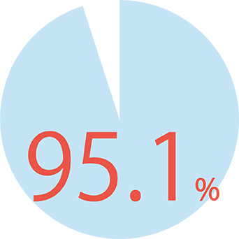 95.1%