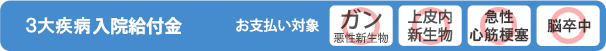 ガン入院給付金