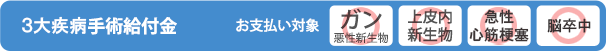 ガン手術給付金