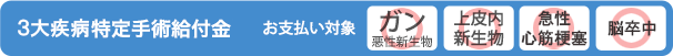 ガン特定手術給付金