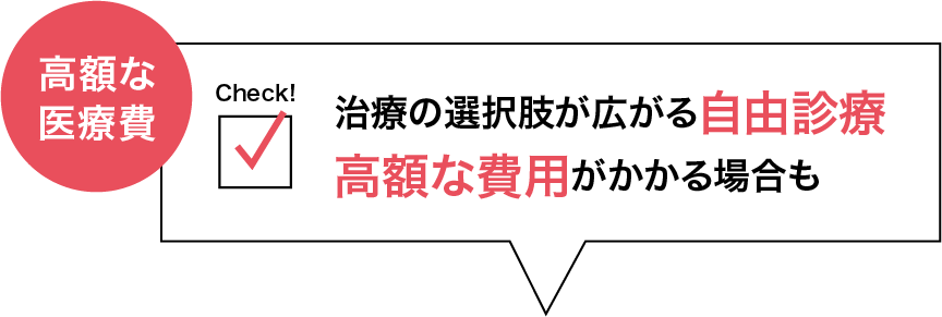 高度な医療費