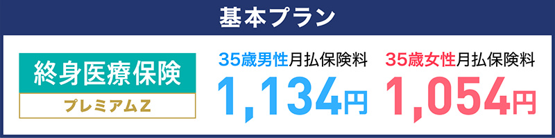 基本プラン
