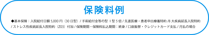 ◆基本保障:入院給付日額5,000円(30日型)/手術特約(Z02)Ⅱ型/先進医療特約(Z03)/8大疾病延長入院特約<br>・ストレス性疾病延長入院特約(Z02)付加/保険期間・保険料払込期間:終身/口座振替・クレジットカード支払/月払の場合