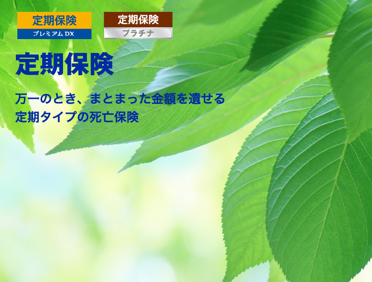 定期保険 万一のとき、まとまった金額を遺せる定期タイプの死亡保険