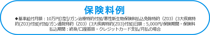 ◆基準給付月額：10万円[I型]/ガン治療特約付加/悪性新生物保険料払込免除特約（Z03）(3大疾病特約(Z03)付加)付加/<br>ガン通院特約（Z03）(3大疾病特約(Z03)付加)日額：5,000円/保険期間・保険料払込期間：終身/口座振替・クレジットカード支払/月払の場合