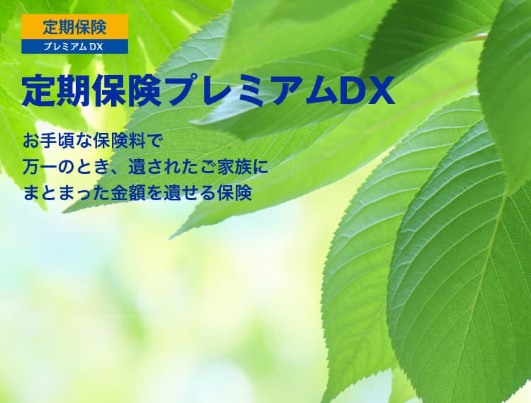 終身ガン治療保険 プレミアムDX