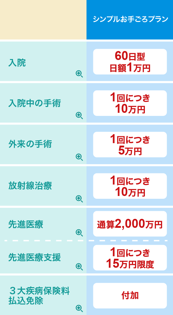 プラン内容