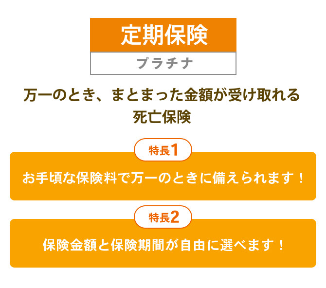 定期保険 プラチナ