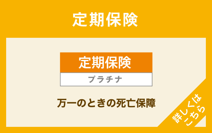定期保険