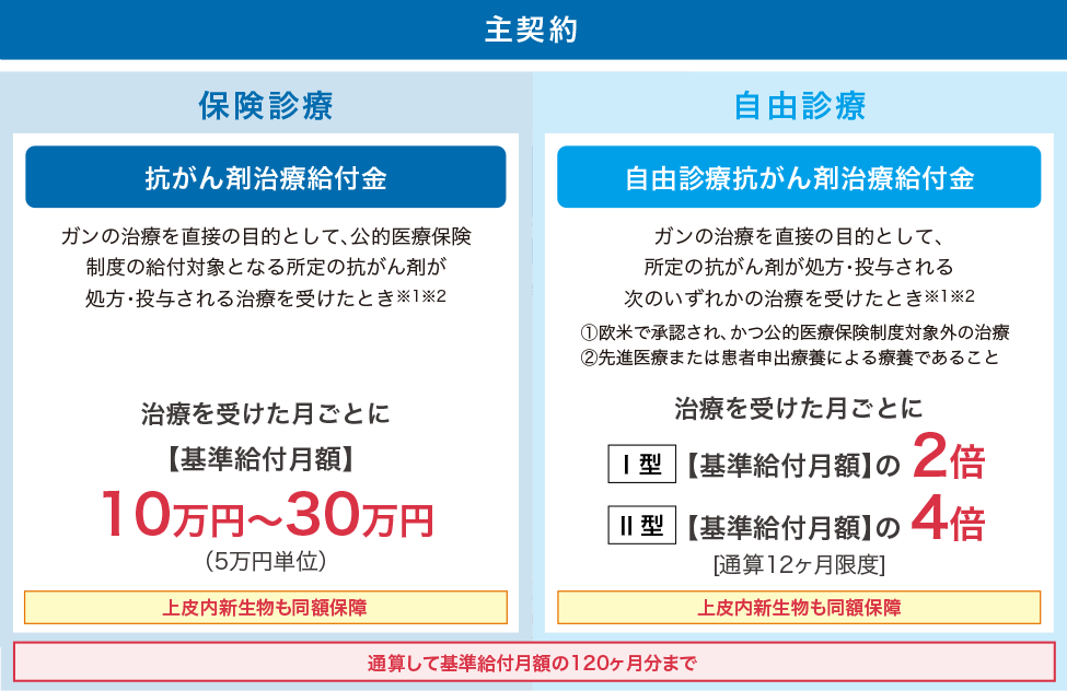 主契約