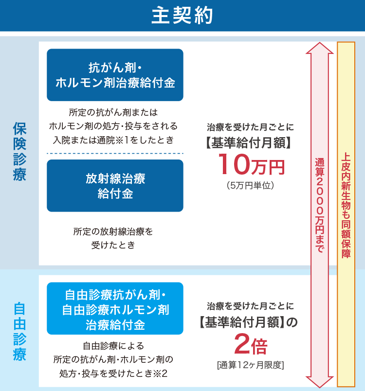 主契約