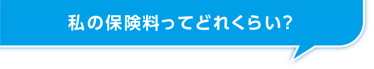 私の保険料ってどれくらい？