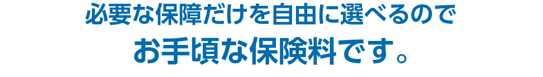 必要な保障だけを自由に選べるのでお手頃な保険料です。