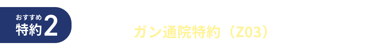 おすすめ特約2 通院1日につき給付金が受け取れる ガン通院特約（Z03）
