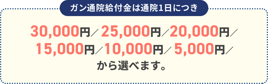 ガン通院給付金は通院1日につき 30,000円／25,000円／20,000円／15,000円／10,000円／5,000円／から選べます。