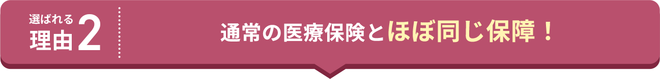 選ばれる理由2 通常の医療保険とほぼ同じ保障！