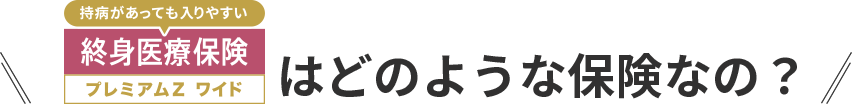 [持病があっても入りやすい]終身医療保険プレミアムZ ワイドはどのような保険なの？