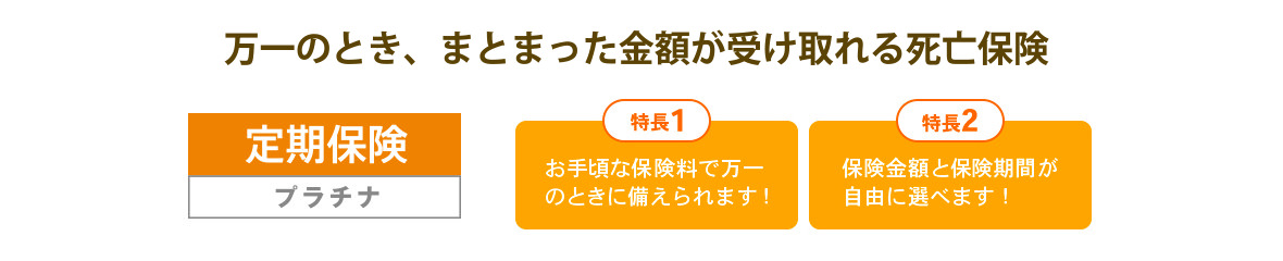 定期保険 プラチナ