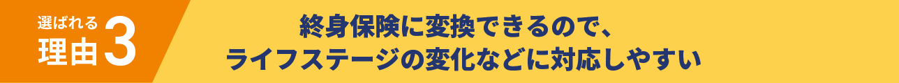 選ばれる理由3 終身保険に変換できるので、ライフステージの変化などに対応しやすい