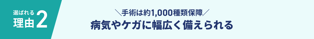 選ばれる理由2 ＼手術は約1,000種類保障／病気やケガに幅広く備えられる