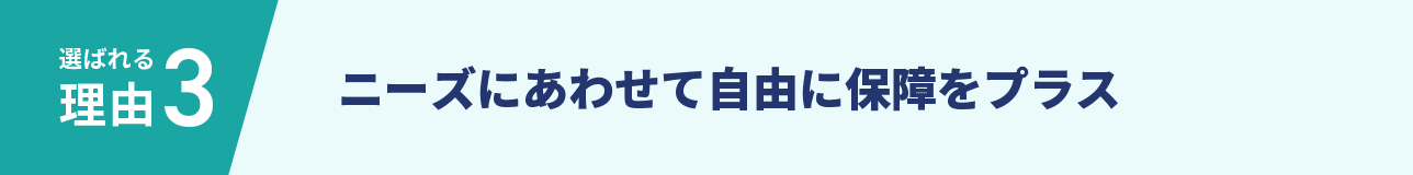 選ばれる理由3 ニーズにあわせて自由に保障をプラス
