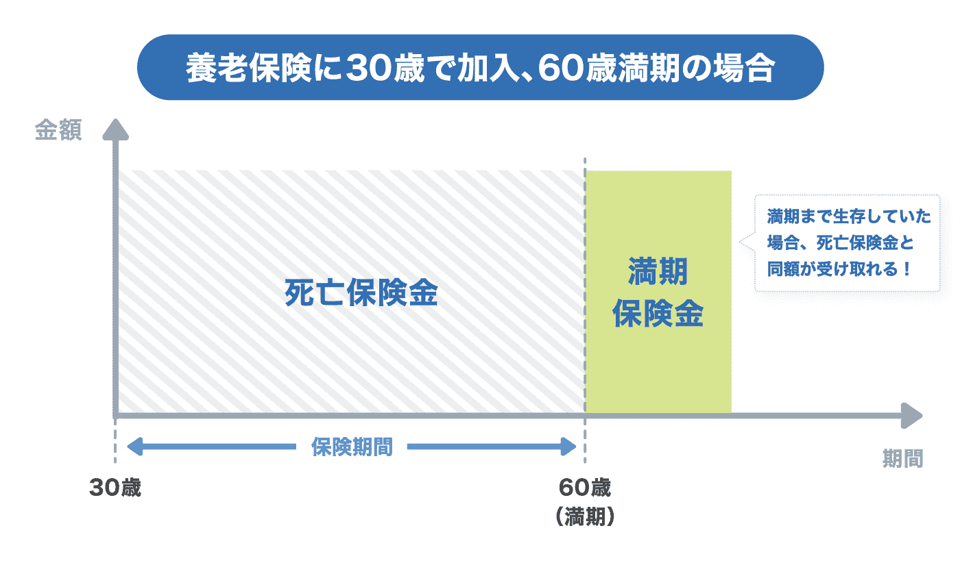 満期保険金の支払い概要図（養老保険に３０歳で加入、６０歳満期の場合）